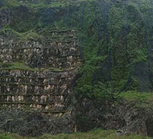 浙江德清 复绿效果图